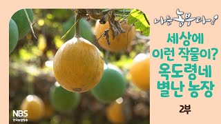 [나는농부다 272회 2부] 세상에 이런 작물이? 옥도령네 별난 농장