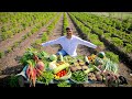 ઘુટો બનાવાની રીત નિકુંજ વસોયા દ્વારા G