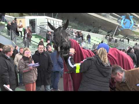 AKIM DU CAP VERT renoue avec le succès dans le Prix Tonnac Villeneuve - A2TURF.COM