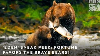 ‘Eden’ Sneak Peek: Fortune Favors the Brave Bears! 🐻 Saturdays at 8PM | BBC America & AMC