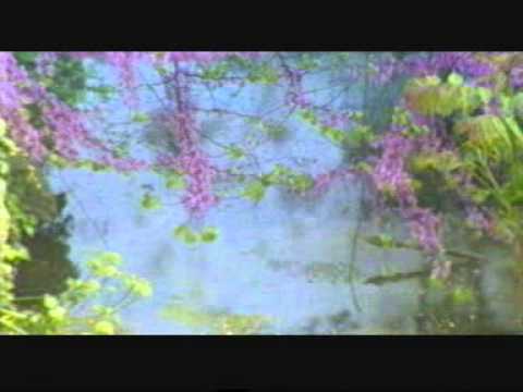 Ti nuk ishe Sen yoktun Fethullah Gulen