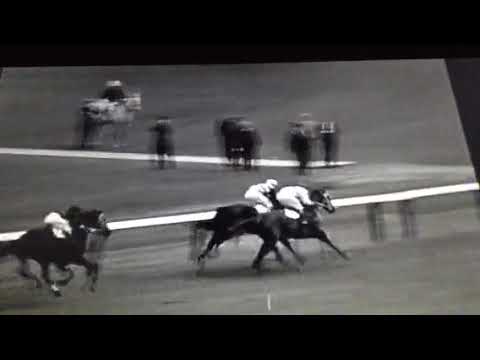 Salvatore Burruni v Rocky Gatterlari world flyweight title bout