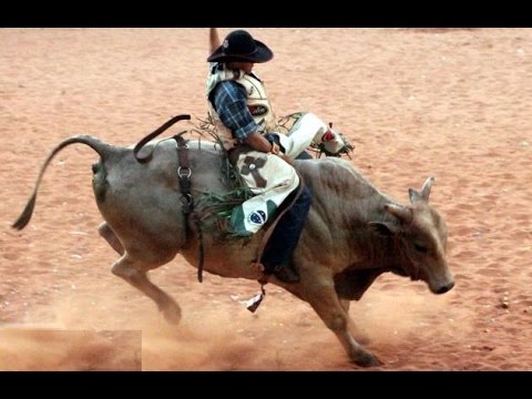 Expo Umuarama 2017 ● Mega Rodeio em Touros