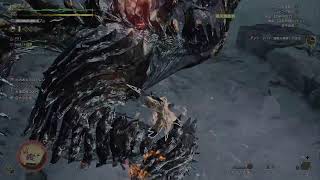 【MHワイルズ】ワイルズだぜぇ～？