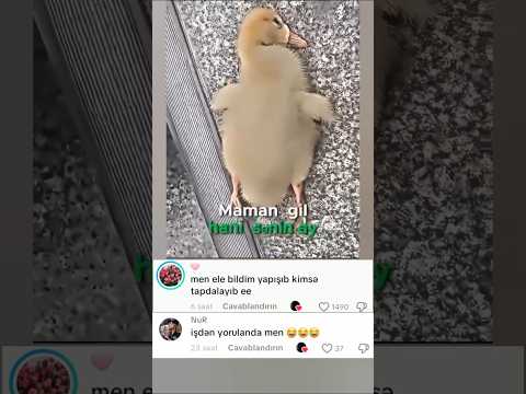 😅😂😁🤣😆😄😅😆 #shortvideo #gulmeli #funny #shorts #trending #keşfet #tiktok #trend #viralvideo #aze #vlog