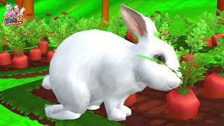 เพลงกระต่ายขาว | เพลงเด็กพี่นุ่น น้องภูมิ By KidsMeSong