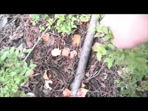 Hyvin on meilken päivä mennyt tässä