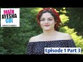 Main Ayesha Gul Episode 1 Part 3 Hindi Dubbed Turkish Drama Sameer 2 2