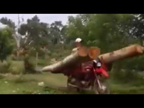 OS BACKYARDIGANS NO VELHO OESTE