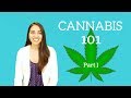 Cannabis 101 Part One