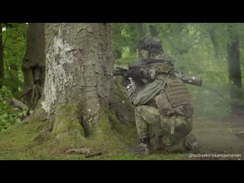 Försvarsmakten - Swedish Armed Forces - Edit