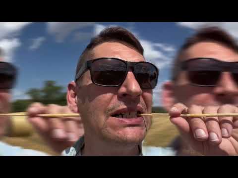 Tribuman - Django Dubchained