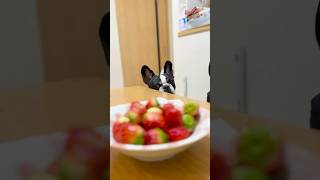 治ったら食べようね