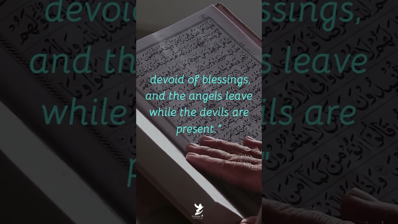 A House Filled With Light