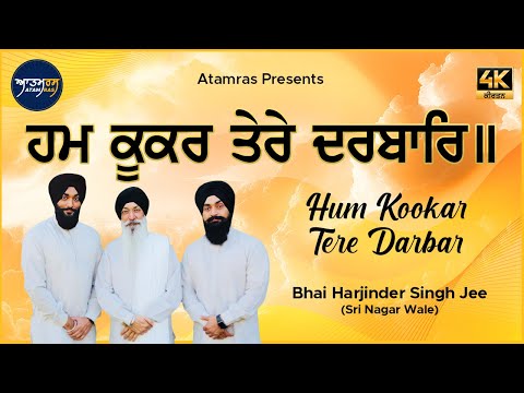 Hum Kookar Tere Darbar  | Bhai Harjinder Singh Jee Sri Nagar Wale | Atamras | 4K