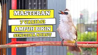 Download lagu Suara Burung TRUCUKAN gacor ROPEL VARIASI NROTOK NGECUPLIK pancingan trucukan agar JADI trucuk GACOR mp3