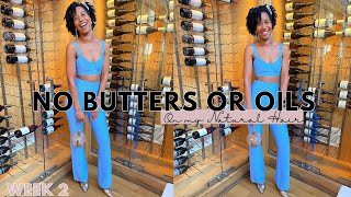 Natural Hair Detox: Week 2 of No Butters & Oils | Updated Wash Day Routine | Gabrielle Ishell
