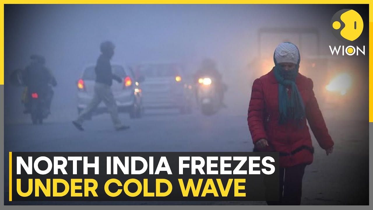 Cold Wave Grips North India: IMD Issues Cold Wave Alert Across 13 States | WION