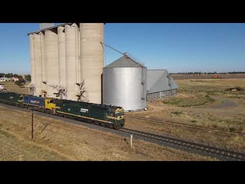 Up PN grain through Dooen with G523, X50, G529
