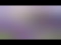 4 PENYESALAN DI MASA TUA Dheasahid9208