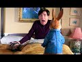 PETER RABBIT Funny Scenes Compilation Ultra HD 4K ᴴᴰ