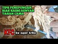 TIPS PENEPUNGAN AGAR RONTOKAN SEDIKIT PASTI RENYAH TAHAN LAMA