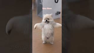 Download lagu https://youtube.com/shorts/uxhwJHuIQfU?si=rtAVJHnKvZ_D9jxE mp3