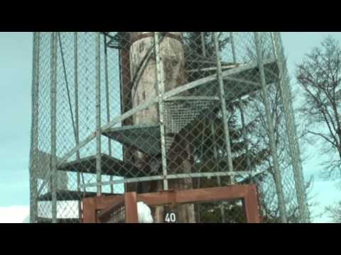 Schneeschuhlaufen im Hotzenwald 2010