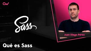 QUÉ ES SASS: VENTAJAS, DESVENTAJAS Y EJEMPLOS DE DESARROLLO