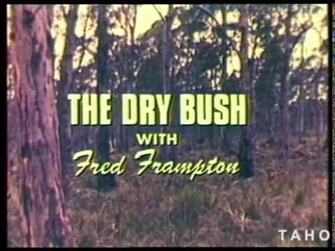 Cover image for Film - The Dry Bush (episode 4) from series -  A Man And His Forest aka Tasmanian Forests - background to Eucalyptus forest species including Banksia, wattles. Feature Fred Frampton.