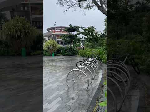 Café branco da cidade velha