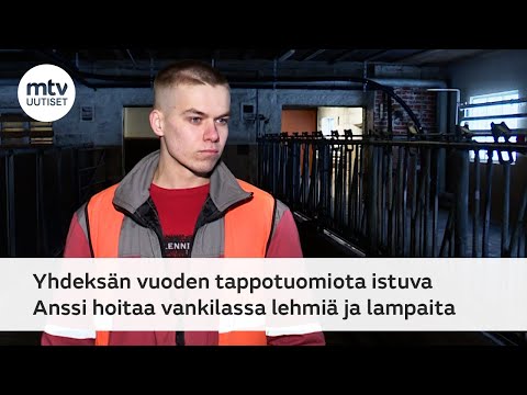 Anssi Moilanen oli viimeisiä vankeja, jotka hoitivat lypsykarjaa Pelson vankilassa