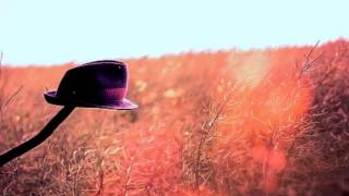 Download lagu dEUS - The Ideal Crash mp3 Download lagu dEUS - The Ideal Crash mp3