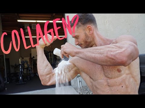 image-Is collagen found in muscle?