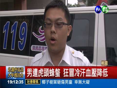 遇蜂螫未理會 男直冒冷汗險丟命