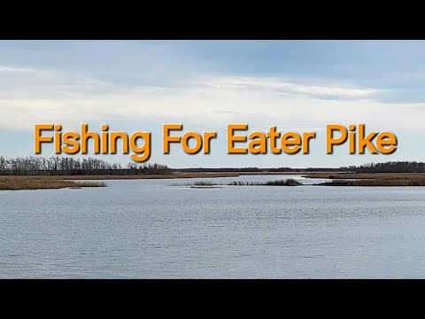 Fishing For Eater Pike