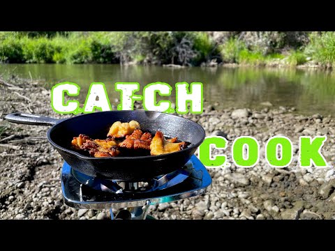 SOLO Eat Only What We Catch! River Fishing Saskatchewan Catch n Cook