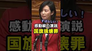 【参政党】「国旗損壊罪」 国会質疑 梅村みずほ議員 2026年7月17日