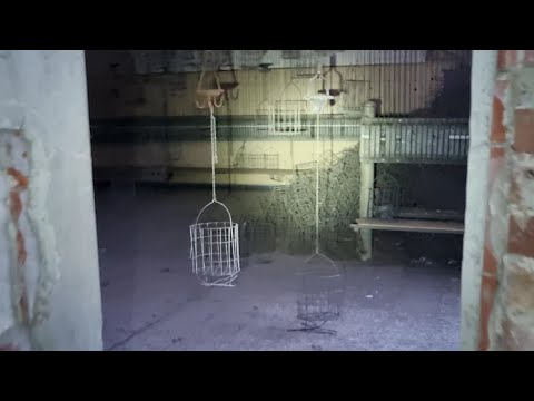 Die verborgene Jungendkaue des Bergwerks Westerholt RAG