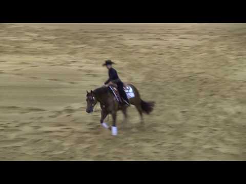 Draw 24 Back 4537 Custom Spook Luca Fappani