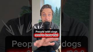 Pet Odor and Stain Removers: Enzyme Cleaners That Truly Work