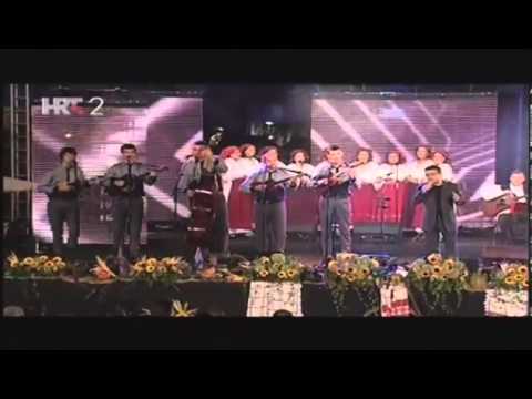 Vlado Bašić i Pudarice - Tebi pjevam, majko Slavonijo(uz pratnju Tamburaša Posegana)