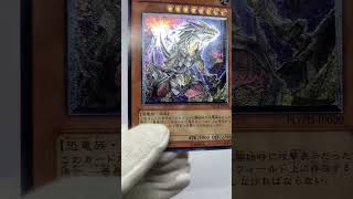 太古の支配者！恐竜さんだどん！！究極恐獣！！！【おすすめコレクションカード紹介～21日目～】