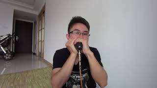 Blues Harmonica Solo : Don't Have To Hunt No More By Little Walter