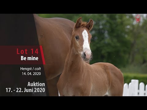 14 Be mine Hengst v. Baggio - All Music