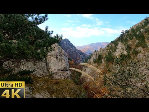 4K-Tesna Canyon-Autumn in the mountains-Romania-Domogled-Valea Cernei