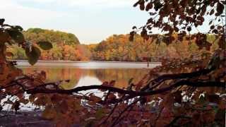 AQUI Y AJAZZ, BURKE LAKE/ W Lee Ritenour, Chuck Loeb, Eric Marienthal & Michael Lington