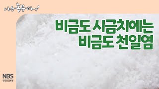 [나는농부다 236회] 비금도 시금치에는 비금도 천일염