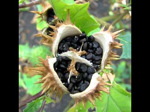 Ambitny Styl, Kuba Pnu - Prawda Wyjdzie Na Jaw FP