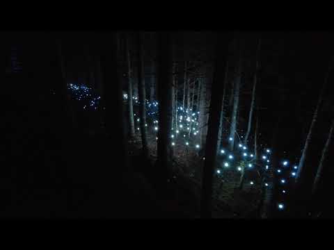 5WO les gets bonus 2 alta lumina